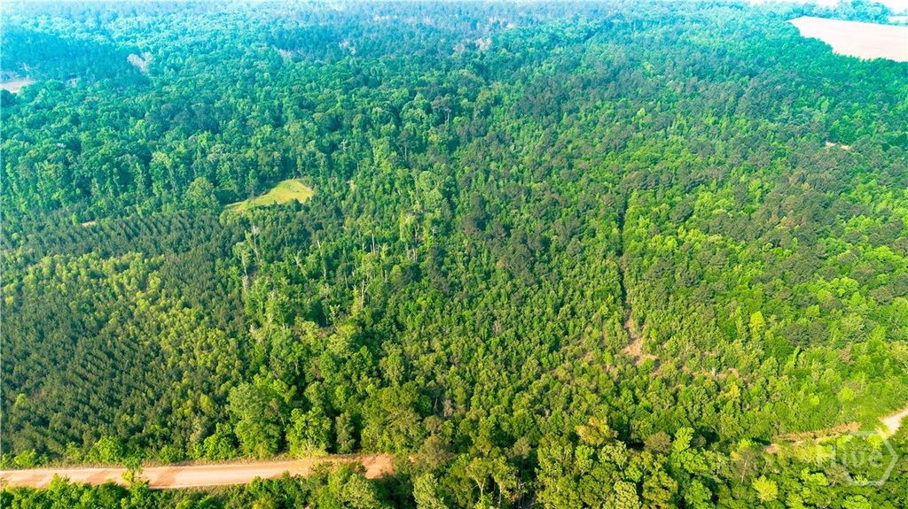 Photo of 0 Fields Farm Road, Millen, GA 30442 (MLS # SA354641)