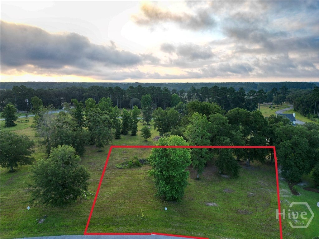 Photo of 28 Tranquility Place NE, Townsend, GA 31331 (MLS # SA365199)