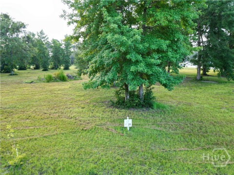 Vacant Land For Sale - LOT #28 Tranquility Place<br/> Townsend, GA 31331