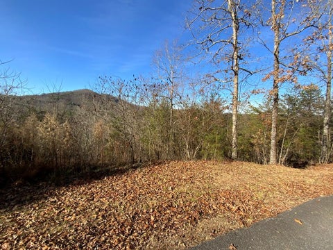 Vacant Land For Sale - 00 Brasstown View<br/> Murphy, NC 28906