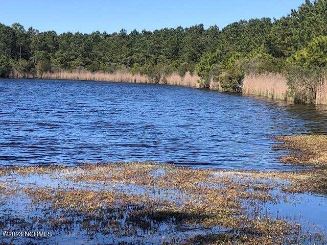 Photo of 123 E Dowry Creek E, Belhaven, NC 27810 (MLS # 100595478)