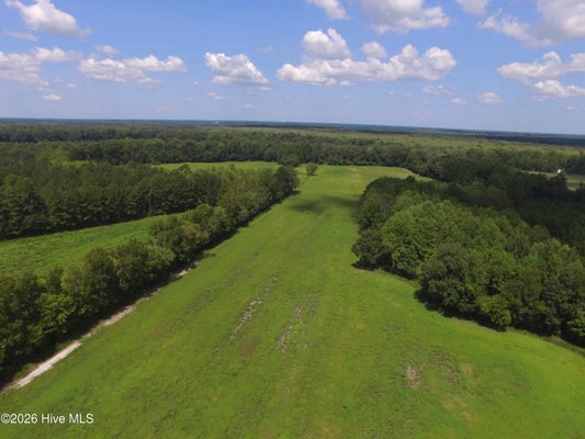S GRIMESLAND BRIDGE RD, GRIMESLAND, NC 27837 - Image 8b95bc59eacb2a5186fdd1635be45d1e/1165546051