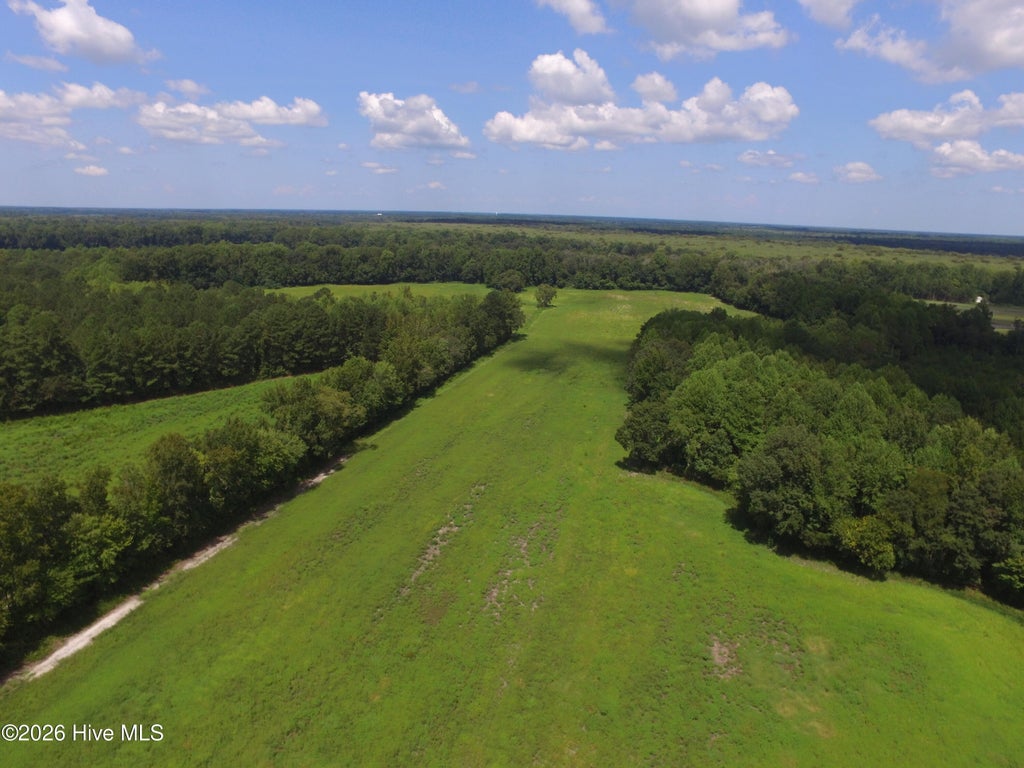 Photo of 0 Grimesland Bridge Road, Grimesland, NC 27837 (MLS # 100600465)