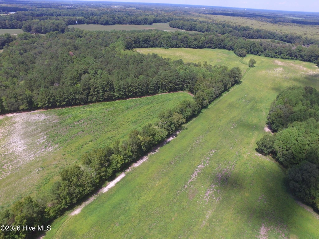 Photo of 0 Grimesland Bridge Road, Grimesland, NC 27837 (MLS # 100600465)