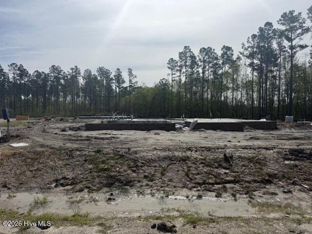 Photo of 832 Hidden Bridge Drive, Jacksonville, NC 28546 (MLS # 100563436)