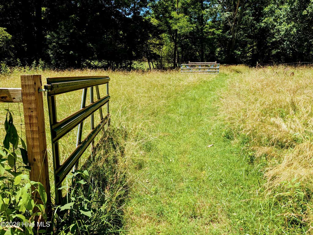 Photo of 169 E Vineyard Road, Hayesville, NC 28904 (MLS # 100594193)