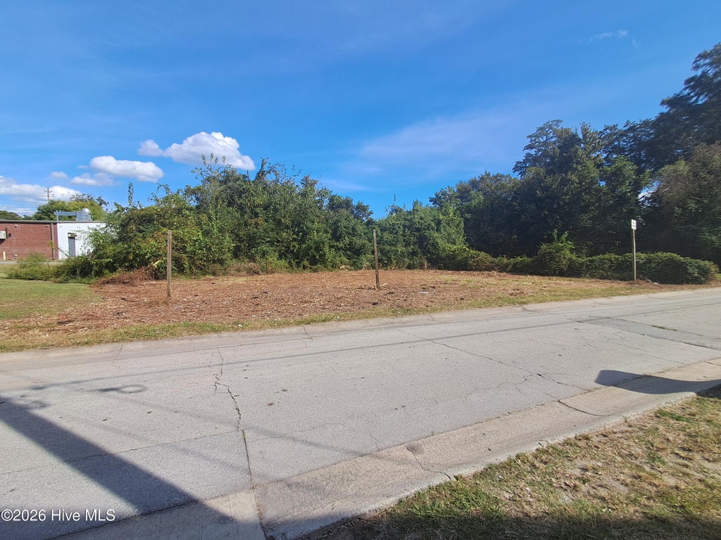 Photo of 188189 Pavie Avenue, New Bern, NC 28560 (MLS # 100608907)