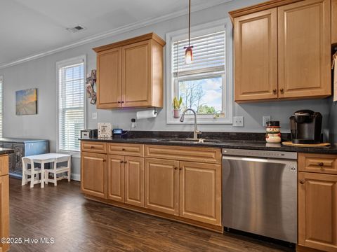 Tiny photo for 123 Beagle Drive, Hubert, NC 28539 (MLS # 100546658)