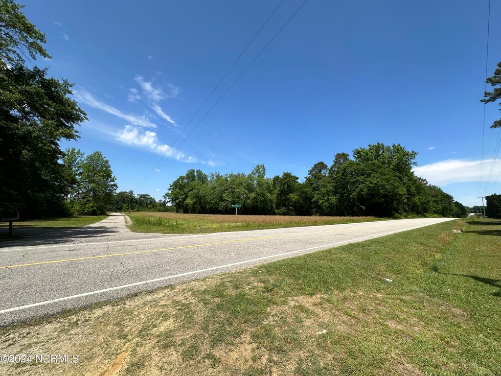 Photo of 0 Needmore Road, Turkey, NC 28393 (MLS # 100440447)
