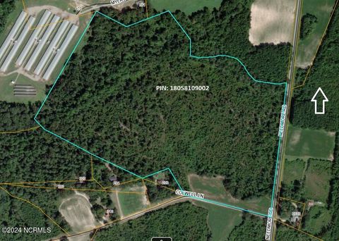 Vacant Land For Sale - Needmore Road<br/> Turkey, NC 28393