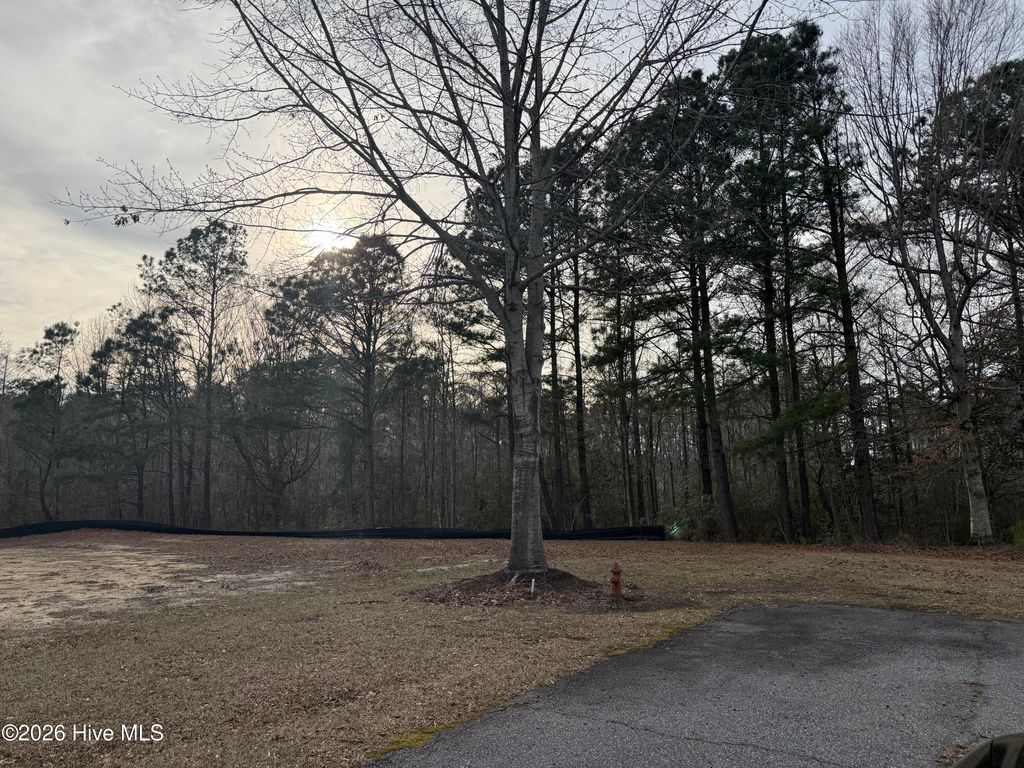 Photo of 313 Megan Loop N, Hertford, NC 27944 (MLS # 100560377)