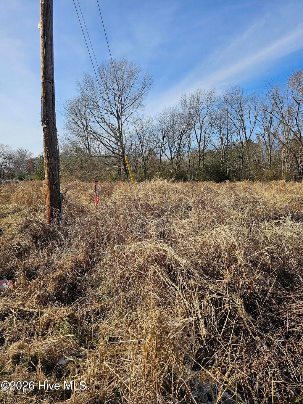 Photo of Tbd E Main Street, Woodland, NC 27897 (MLS # 100552748)