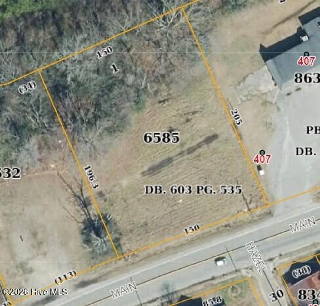 Photo of Tbd E Main Street, Woodland, NC 27897 (MLS # 100552748)