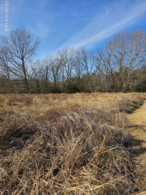 Vacant Land For Sale - TBD E Main Street<br/> Northampton County, Woodland, NC 27897