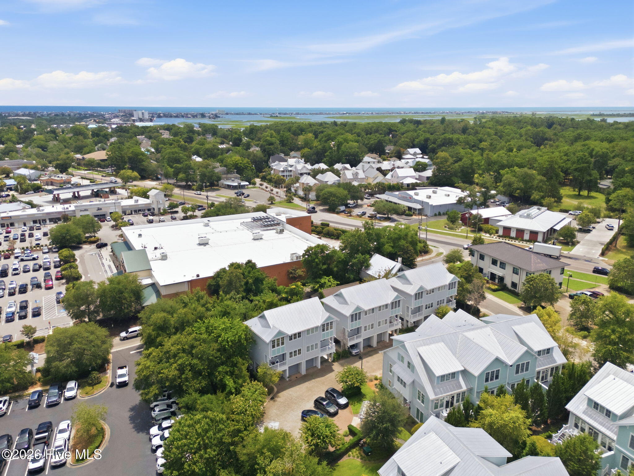 1718 Tearthumb Court