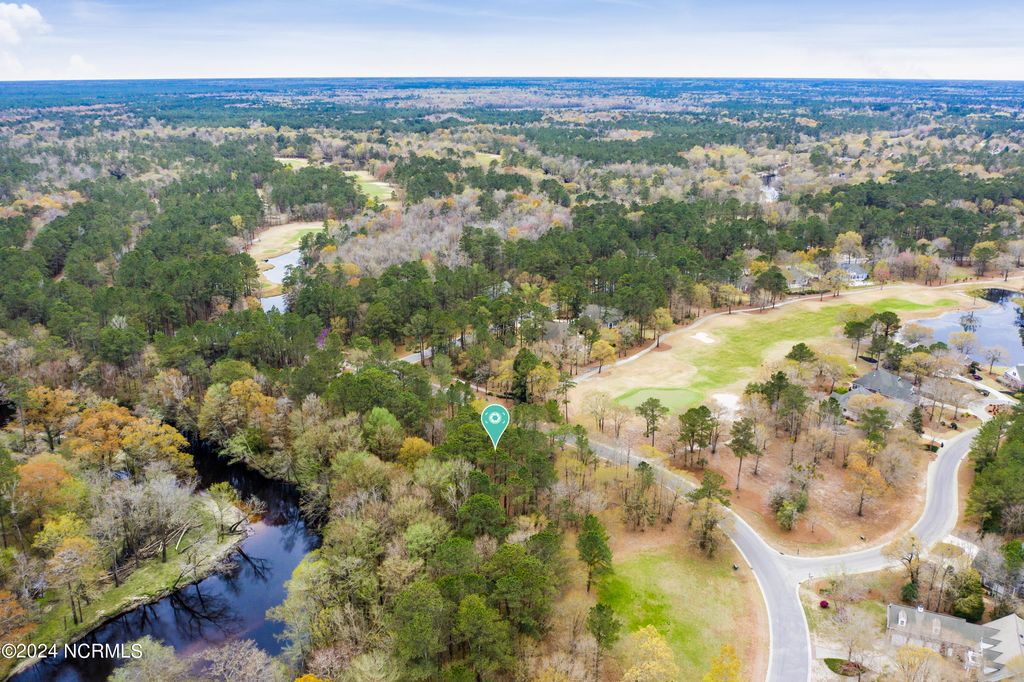 Photo of 153 River Woods Drive, Wallace, NC 28466 (MLS # 100433741)