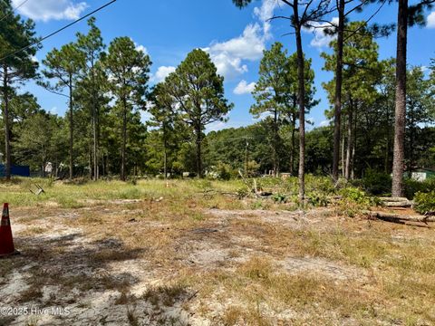 Vacant Land For Sale - 00 Wiregrass Road<br/> Hamlet, NC 28345