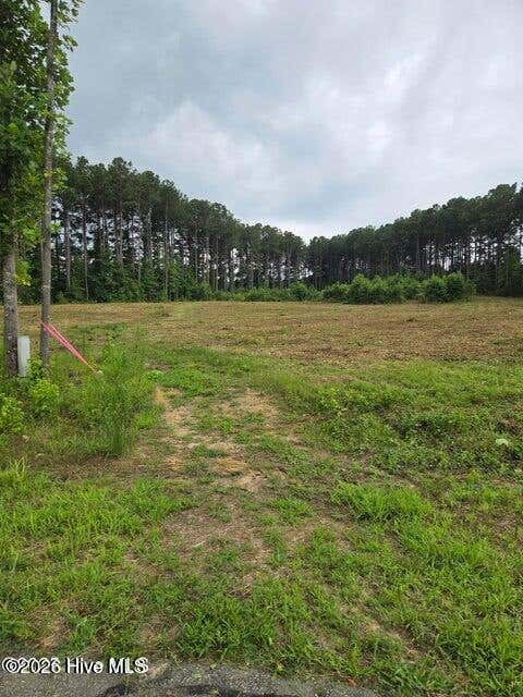 Photo of 51 Roseheath Court, Bailey, NC 27807 (MLS # 100592345)
