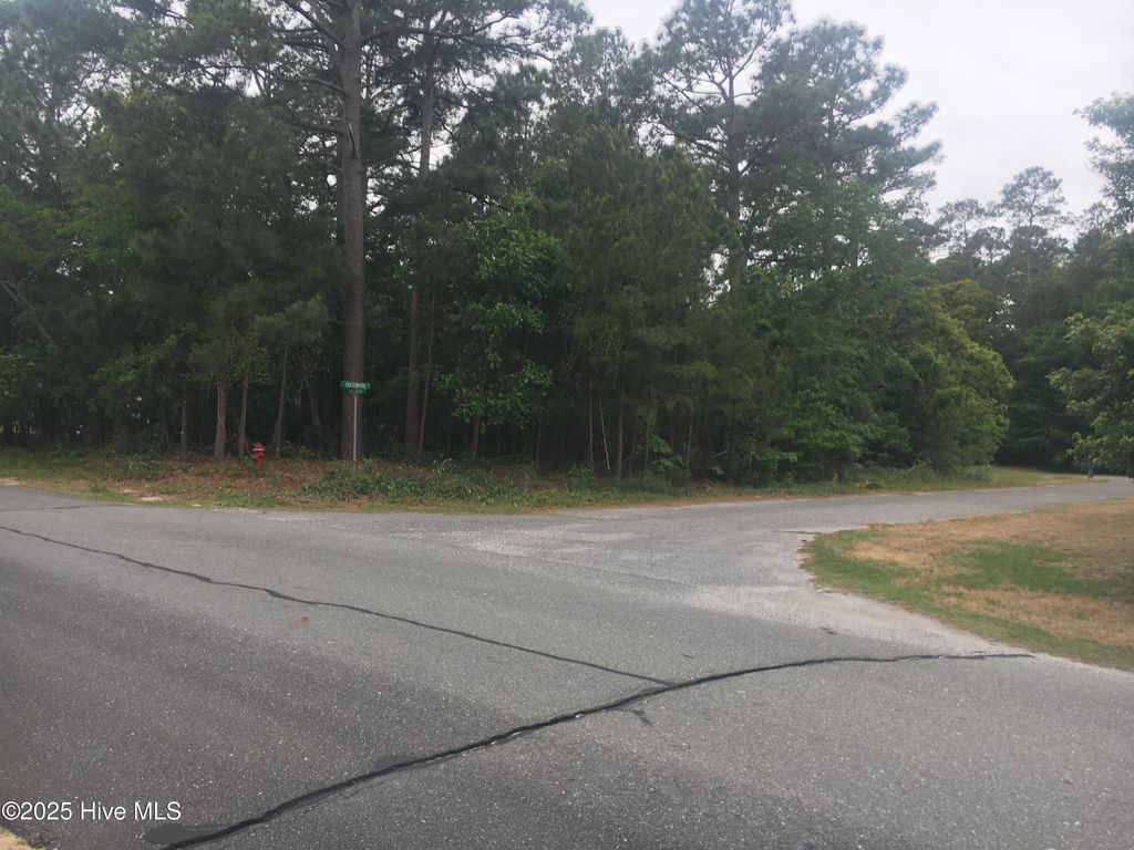 Photo of 300 Crestwood Drive, Goldsboro, NC 27530 (MLS # 100572618)