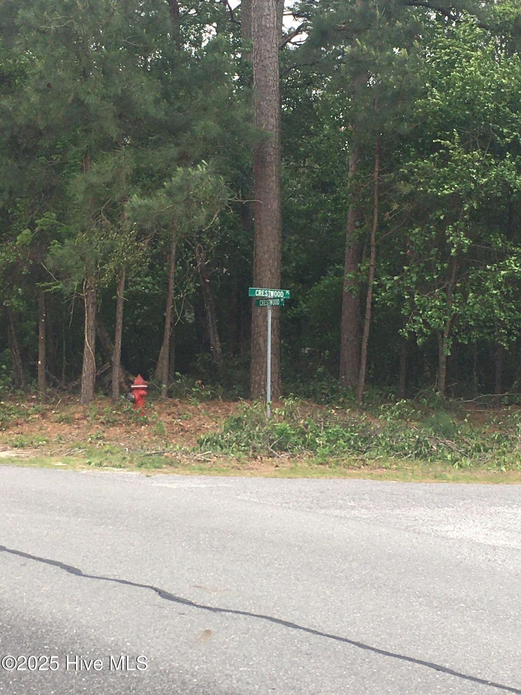 Photo of 300 Crestwood Drive, Goldsboro, NC 27530 (MLS # 100572618)