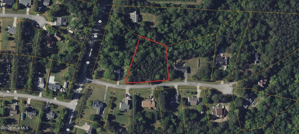 Photo of 103 Seahorse Drive, Havelock, NC 28532 (MLS # 100573646)