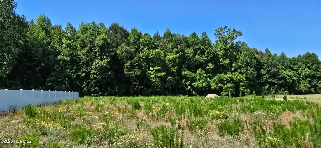 Photo of 3030 Joe Stocks Road, Greenville, NC 27858 (MLS # 100574811)