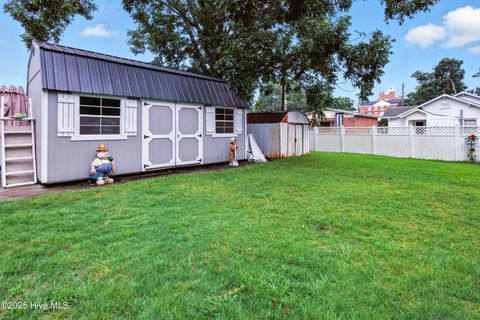 Tiny photo for 207 S Walker Street, Burgaw, NC 28425 (MLS # 100573429)