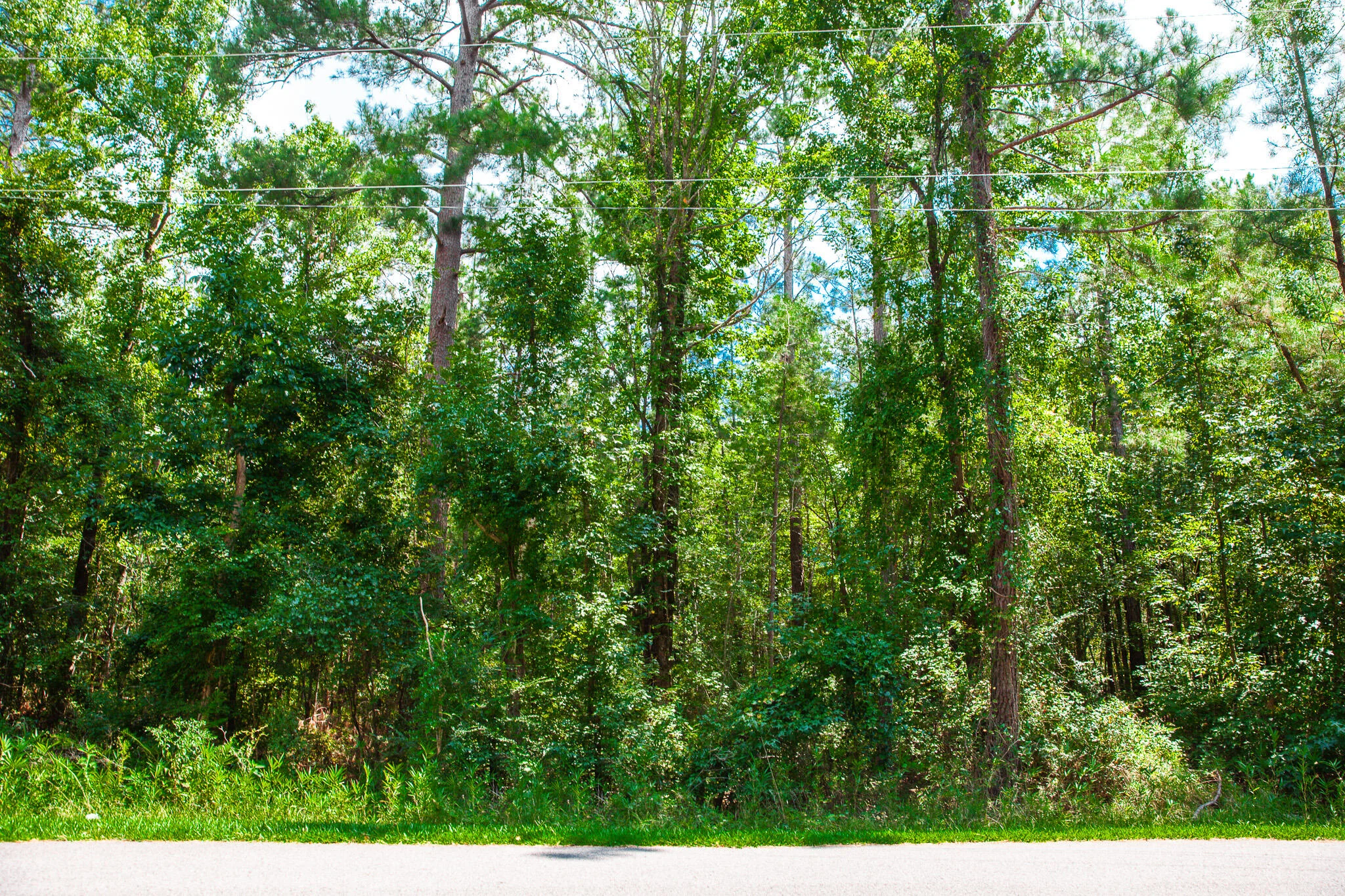 Lot 9 Bent Oak Road