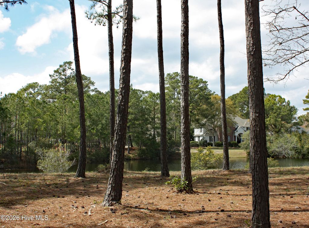 Photo of 640 Barons Court SW, Ocean Isle Beach, NC 28469 (MLS # 100562413)