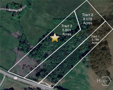 Vacant Land For Sale - TRACT 3 Hwy 51s<br/> Homer, GA 30547