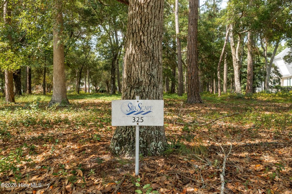 Photo of 686 Beaufain Street SW, Supply, NC 28462 (MLS # 100559457)