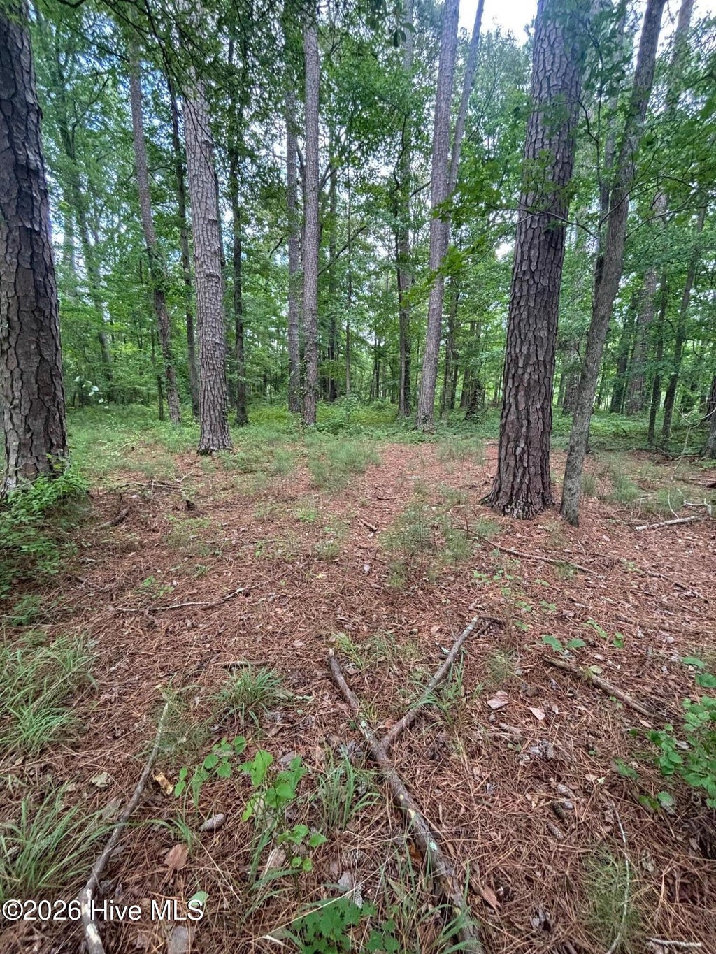 Photo of 0 Winfield Lane, Pinetown, NC 27865 (MLS # 100590276)
