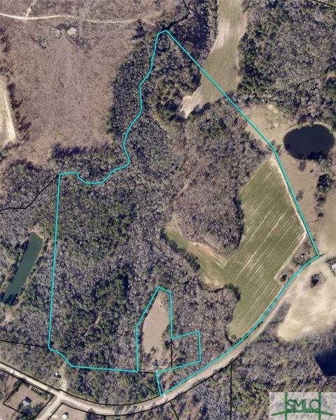 Vacant Land For Sale - Two Chop Road<br/> Bulloch County, Statesboro, GA 30461