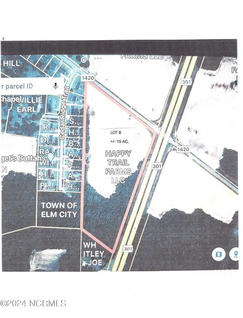 Vacant Land For Sale - LOT B Us 301 Highway<br/> Elm City, NC 27822