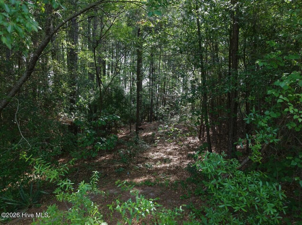 Photo of 6311 Canadian Avenue, Hope Mills, NC (MLS # 100572958)