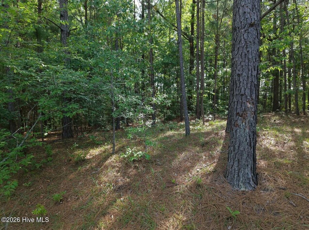Photo of 6311 Canadian Avenue, Hope Mills, NC (MLS # 100572958)