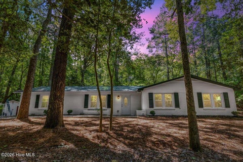 Photo of 115 Wood River Road, West End, NC 27376 (MLS # 100603260)