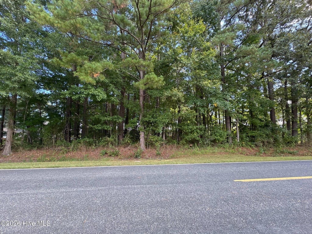 Photo of 1001550 Tinkham Road, Eure, NC 27935 (MLS # 100610177)