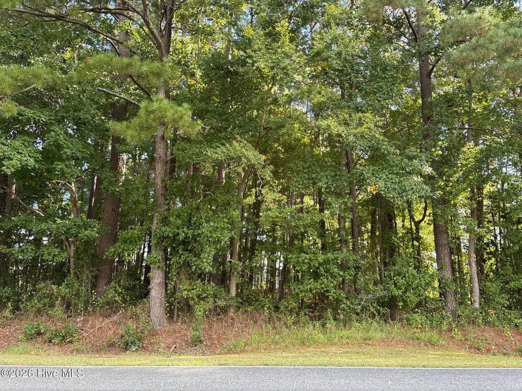 Photo of 1001550 Tinkham Road, Eure, NC 27935 (MLS # 100610177)