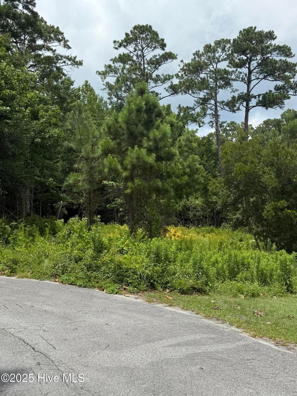 Photo of 1015 Meridian Drive, Sneads Ferry, NC 28460 (MLS # 100517634)