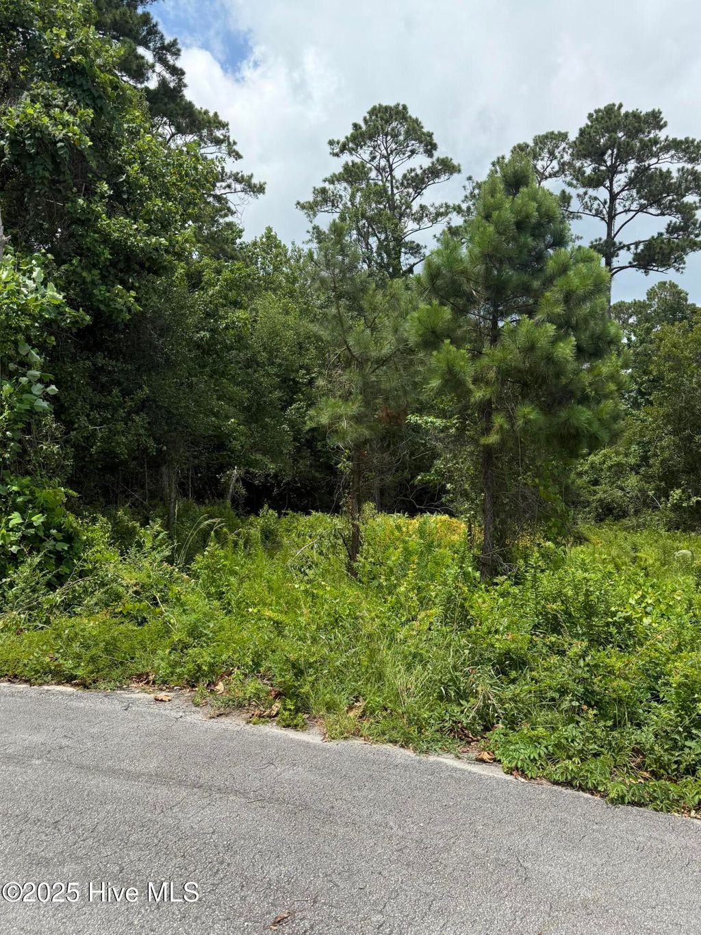 Photo of 1015 Meridian Drive, Sneads Ferry, NC 28460 (MLS # 100517634)