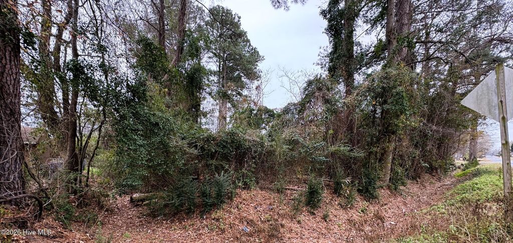 Photo of 1506 Hazel Avenue, New Bern, NC 28560 (MLS # 100548662)