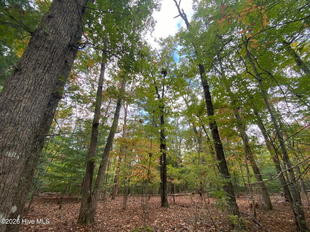 Photo of 14 Mission Ridge, Hayesville, NC 28904 (MLS # 100610993)
