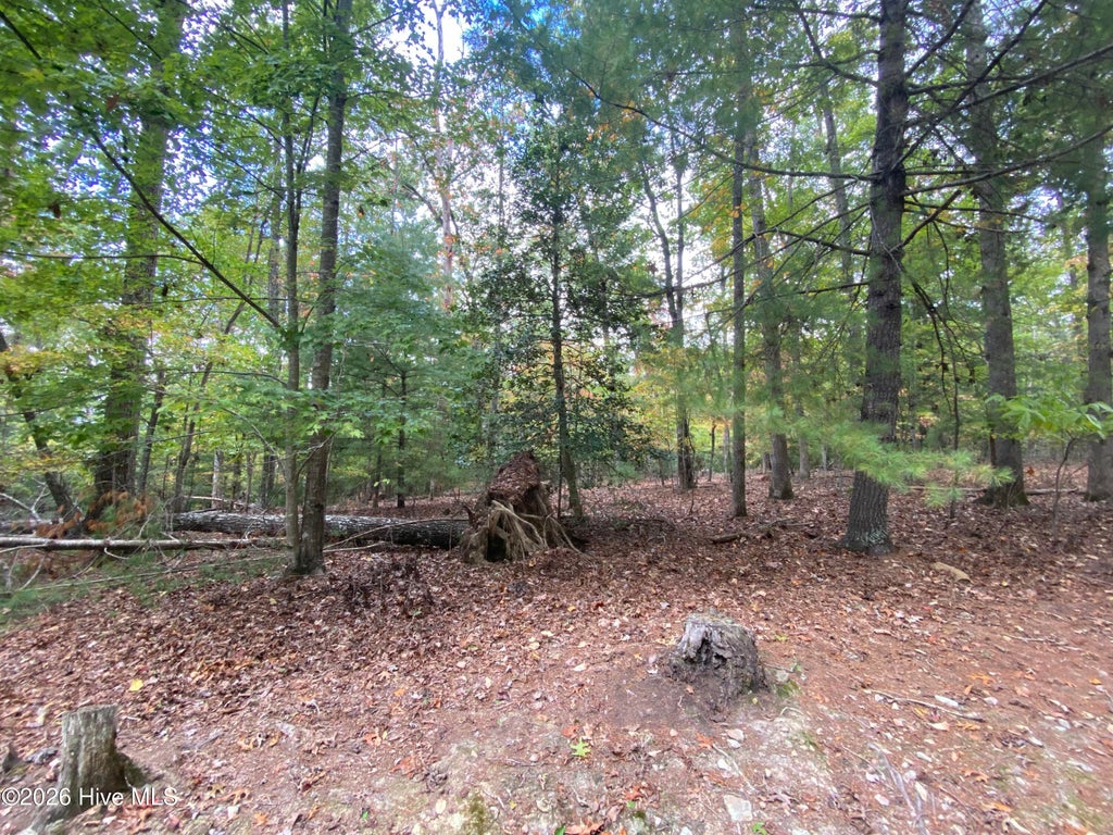 Photo of 14 Mission Ridge, Hayesville, NC 28904 (MLS # 100610993)