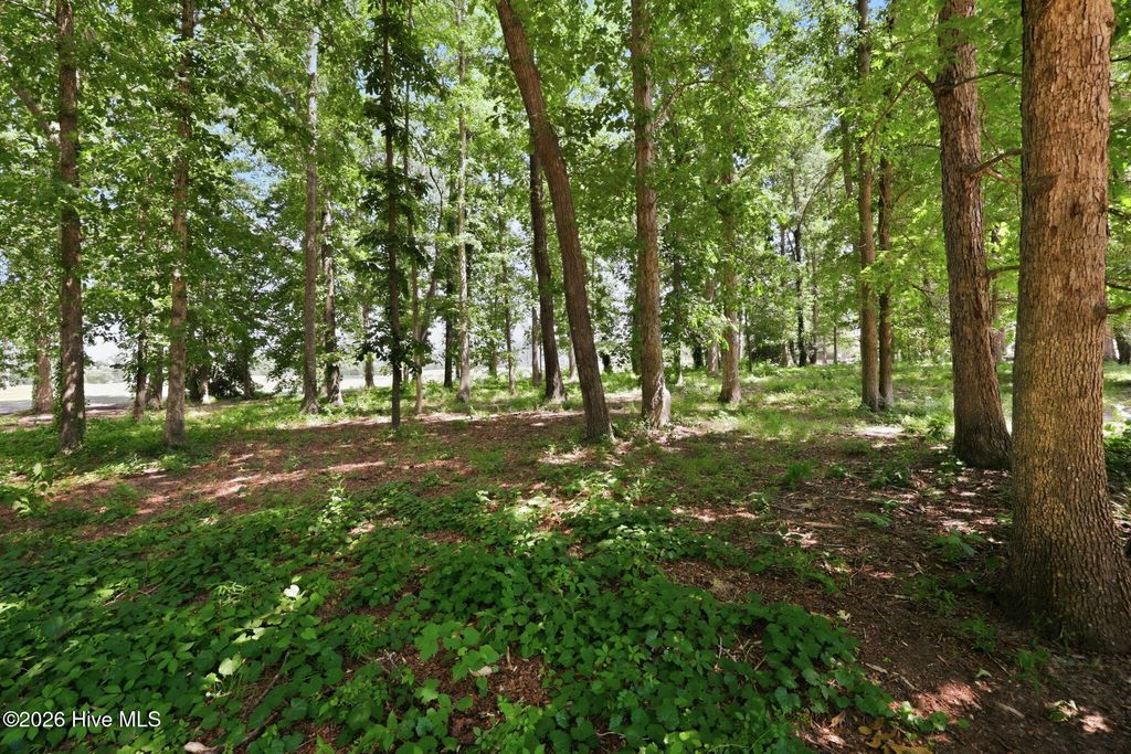 Photo of 4425 Oaksong Drive, Greenville, NC 27834 (MLS # 100581467)