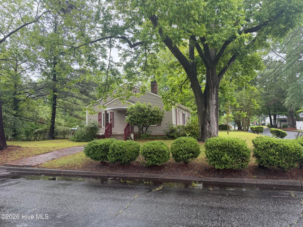 Photo of 302 N Brevard Street, Selma, NC 27576 (MLS # 100574270)