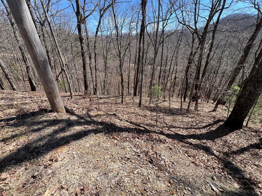 Lot 17 Panorama Dr Wolf Mountain Estates - Photo 2