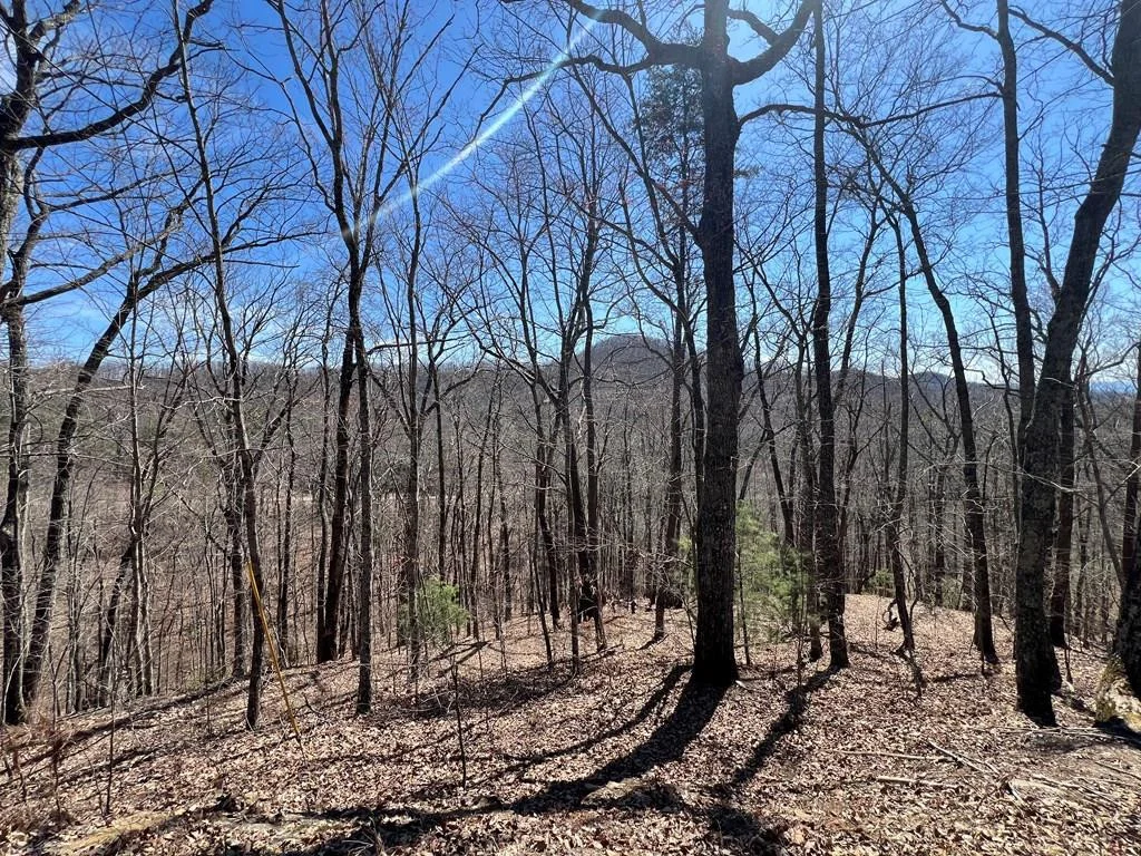 Lot 17 Panorama Dr Wolf Mountain Estates
