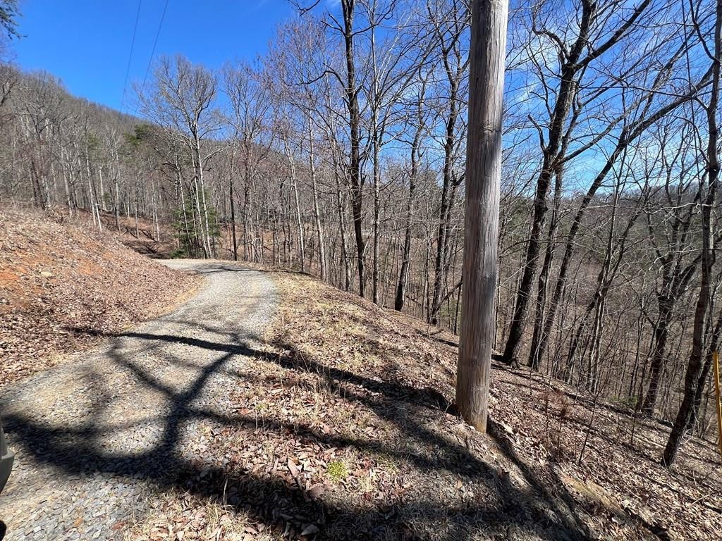 Lot 17 Panorama Dr Wolf Mountain Estates - Photo 3