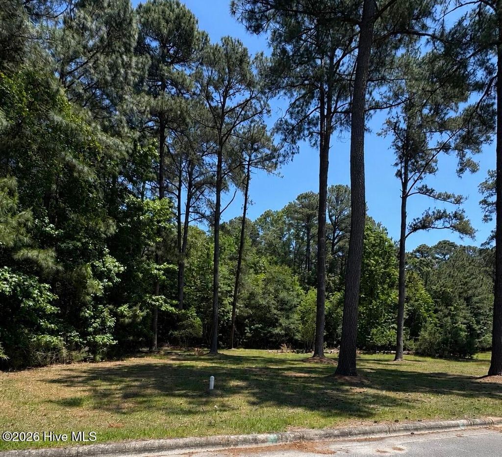 Photo of 4244 W Prince Road, Farmville, NC 27828 (MLS # 100576191)